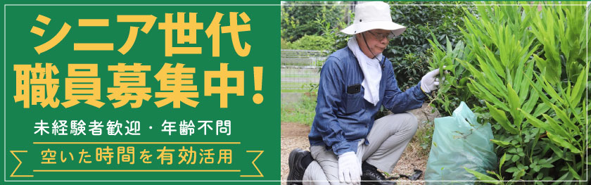 シニア世代職員募集中